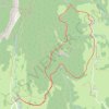 Circuit Raquette du Grand Carroz GPS track, route, trail